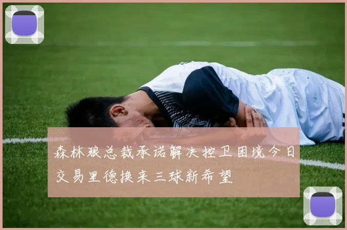 森林狼总裁承诺解决控卫困境今日交易里德换来三球新希望