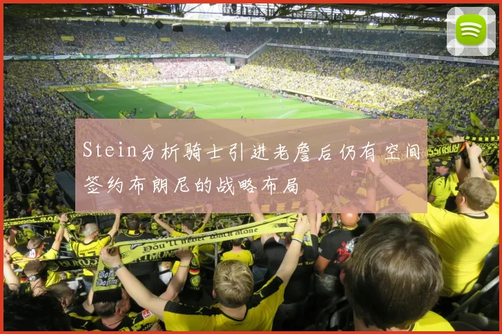 Stein分析骑士引进老詹后仍有空间签约布朗尼的战略布局